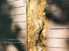 -T80科技文化国际社区-停车场