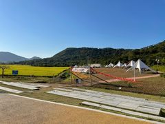 -风云岭森林公园