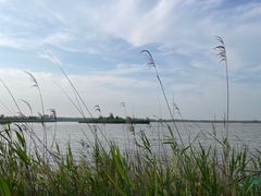 -盐城丹顶鹤湿地生态旅游区