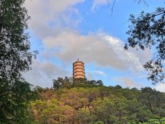 -深圳国际园林花卉博览园