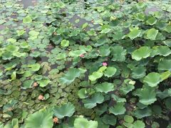 -公益图书馆(江南大学店)