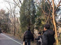 -盐城丹顶鹤湿地生态旅游区
