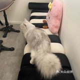 南京的一些咖啡店（江宁篇四）