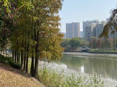 -怡海公园(桂城街道)