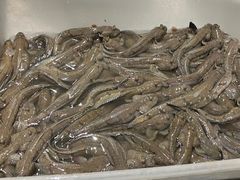 -健眺小海鲜(临海后山店)