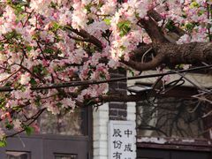 -睦南公园