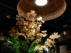 -自由生长植物工作室(深港花卉中心店)