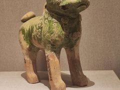 -河南博物院