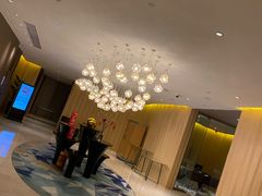 -苏州金鸡湖文博诺富特酒店