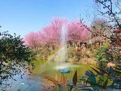 -武汉紫薇都市田园