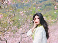 -田野绿世界