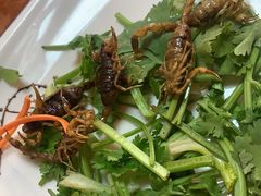 -老张烤羊(王哥庄店)