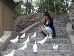 android_upload_pic-紫荆山公园