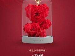 -ROSEONLY诺誓(国际广场购物中心店)