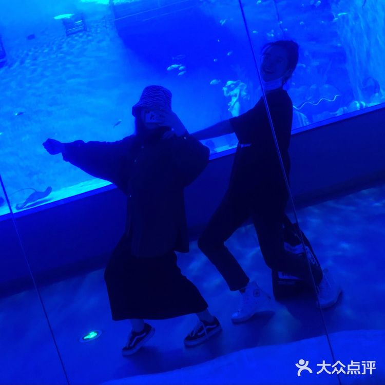 五一去哪玩|温州极地海洋世界 太太太可爱啦!