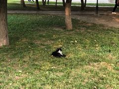 -东北大学(南湖校区)