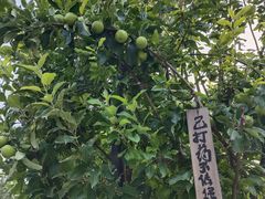 -百里峡七彩艺术小镇