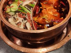 -镇江龙·火锅串串(武侯祠店)