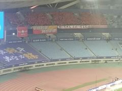 -南京奥林匹克体育中心-体育馆