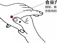 -咏春拳学总会·一拳咏春(双井店)