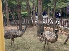 -灵玲国际马戏城