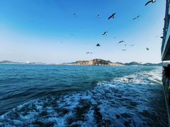 -海驴岛(荣成市)