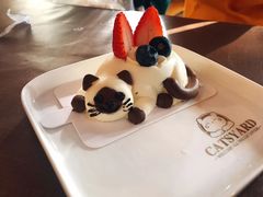 -猫小院猫主题餐厅(南锣旗舰店)