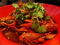 -红辣椒·川菜·火锅(张杨路店)