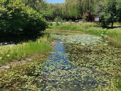 -东郊湿地公园