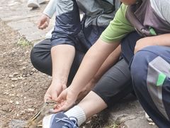 -五营红松林海景区