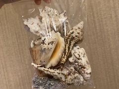 -青岛海景花园大酒店