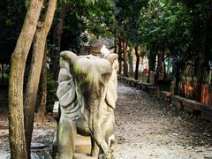 -西安大兴善寺