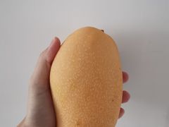 -三亚新鸿港水果一级批发市场