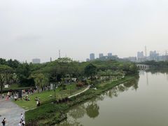 -顺峰山公园