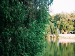 -人民公园(罗湖区)