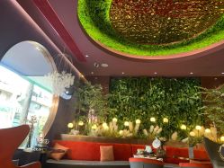 -花隐·美芙炫海菲秀皮肤管理中心