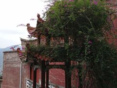 -青芝山风景名胜区