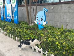 -瑞吉酒店·瑞吉酒吧