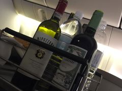 -新加坡航空公司(ION)