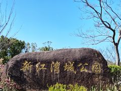 -新江湾城公园