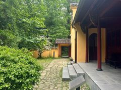 -天目山大树王景区