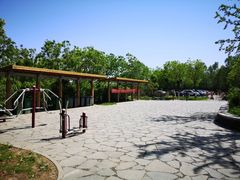 -东郊湿地公园