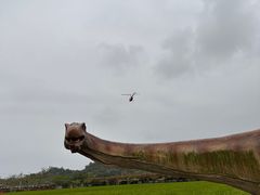 -亚龙湾热带天堂森林公园