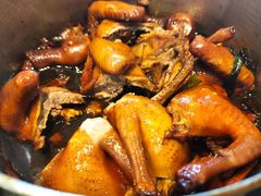 家喻私房鸽-新兴·金羊座·粤菜点心(乐峰店)