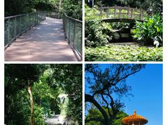 -广州市白云山风景名胜区