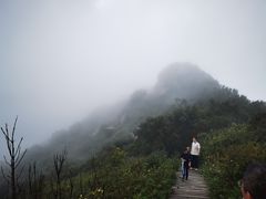 -白草畔自然风景区