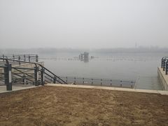 -大兴滨河森林公园