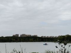 -昆山城市生态森林公园