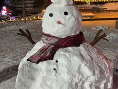 -长白山万达喜来登度假酒店