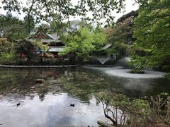 -井之头恩赐公园